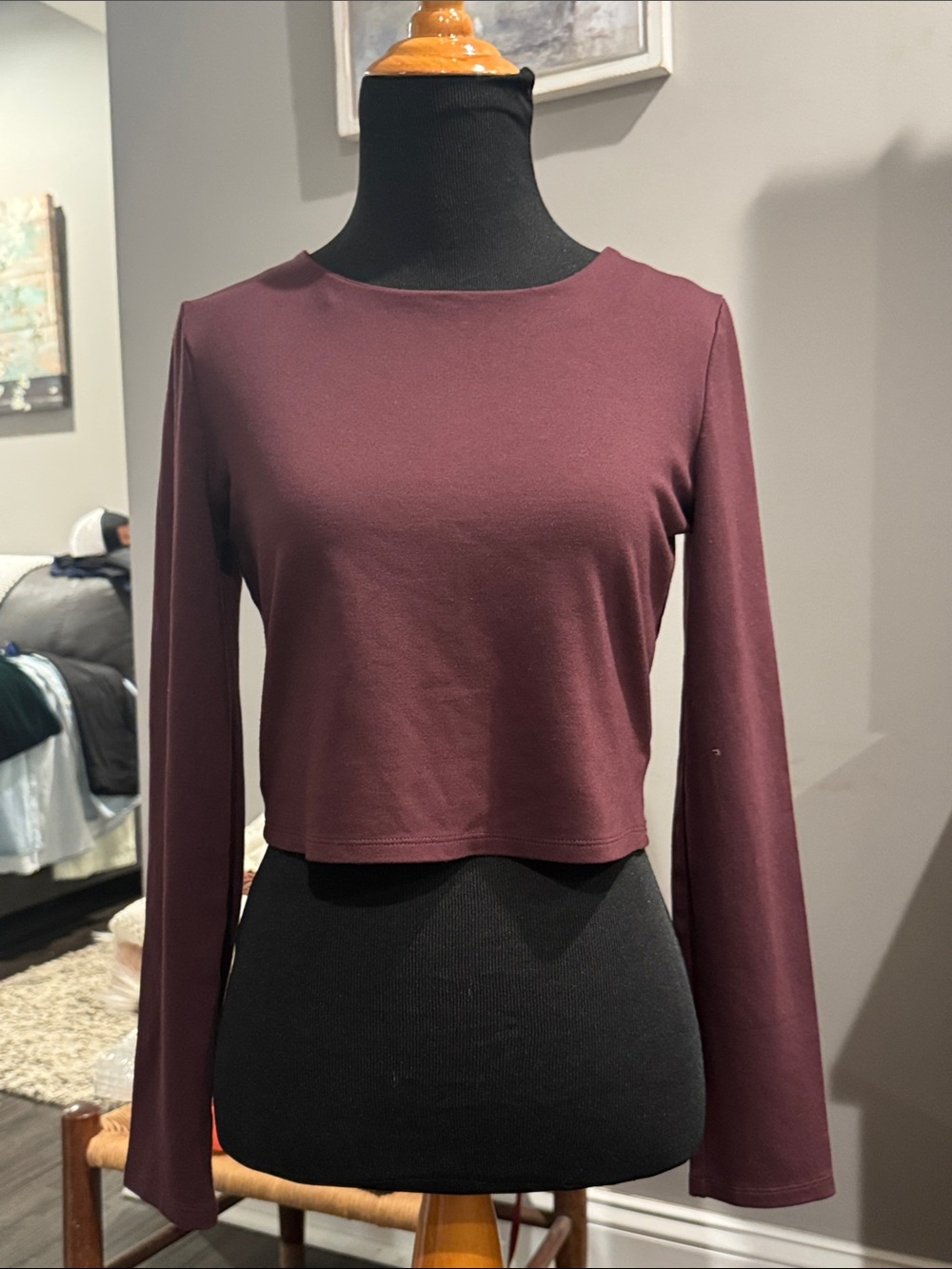 Express Long-Sleeve Cropped Top in Plum
